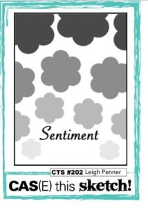 case-this-sketch-202